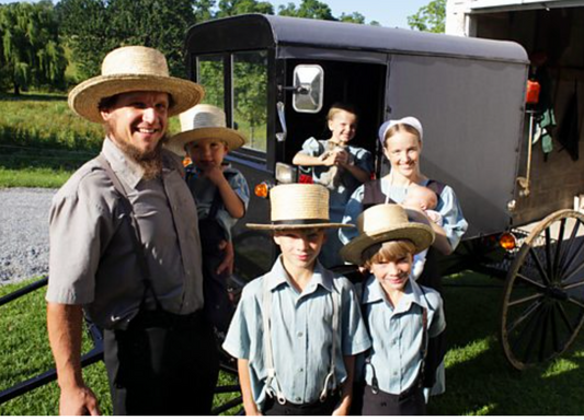Amish with 90% less death from CV19!
