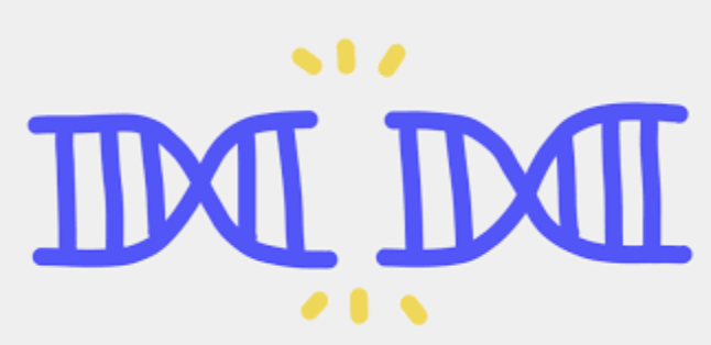 "Vitamins & Minerals Inadequacy Cause Chromosome Break And Accelerate Aging". Dr. Bruce Ames