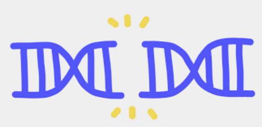 "Vitamins & Minerals Inadequacy Cause Chromosome Break And Accelerate Aging". Dr. Bruce Ames