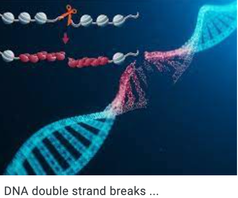 "Synthetic Vitamin Blown The Genetic Map of The DNA To Pieces"