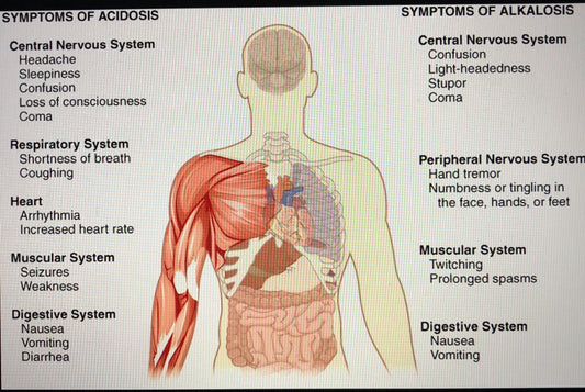 "Misunderstanding the pH Alkaline That Could Harm You"! Dr. Eric Berg