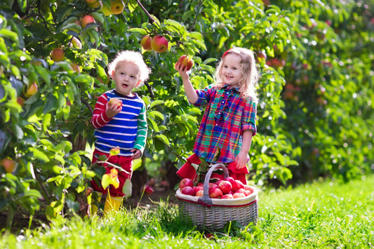 Increase your kids IQs by a whopping 64% in just 100 days, How?