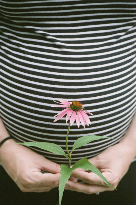 Dr. Jillian Teta: "How Essential Pre/Probiotic For Our Health"