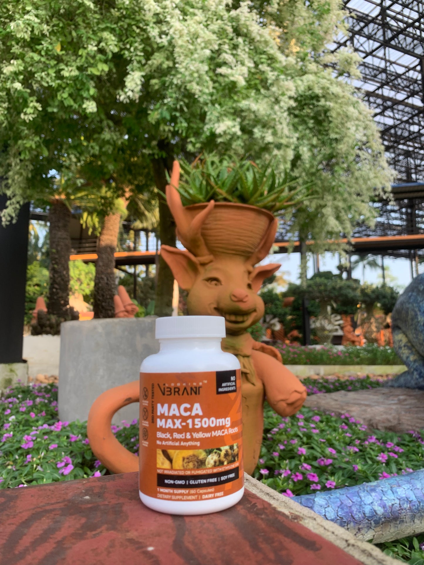 MACA MAX-1500MG (100% ORGANIC)