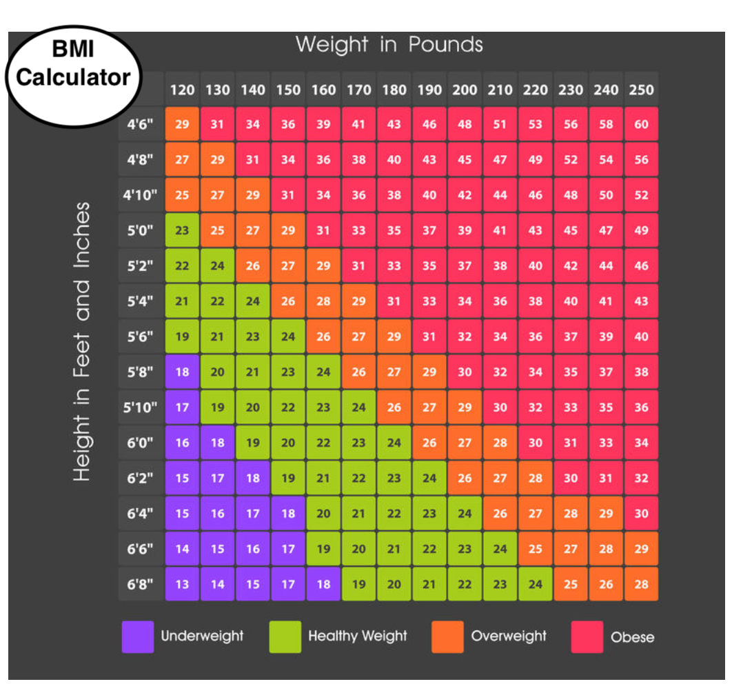 is-bmi-important-lookingvibrantcom