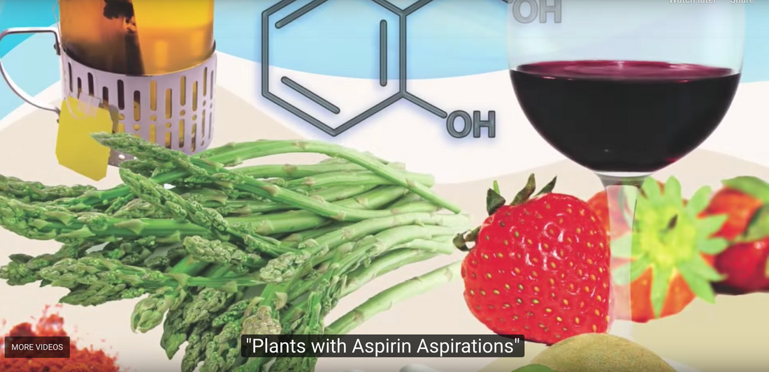 Plants with Aspirin Aspirations. By Michael Greger M.D. FACLM