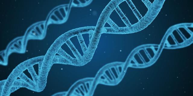 What is DNA? / How Do You Keep Your DNA Healthy?