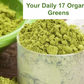 AG17 Greens (100% Raw Organic Powder) 4,180mg Per Serving