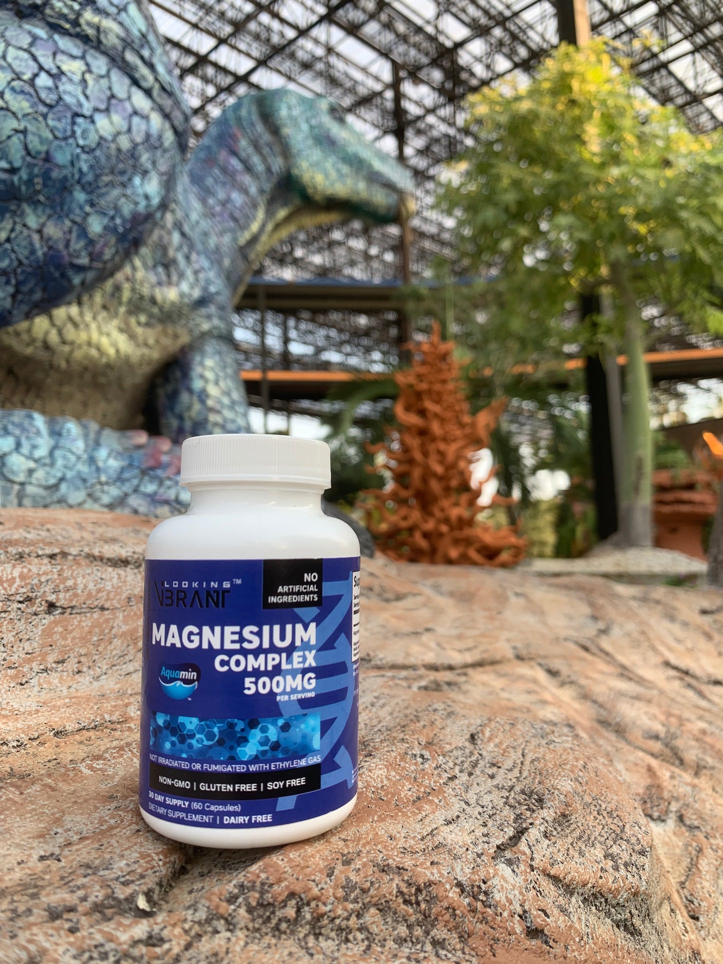 MAGNESIUM COMPLEX 500MG (Aquamin)